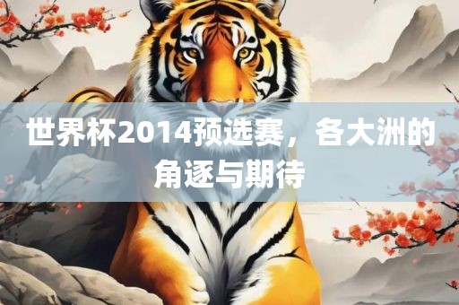 世界杯2014预选赛，各大洲的角逐与期待