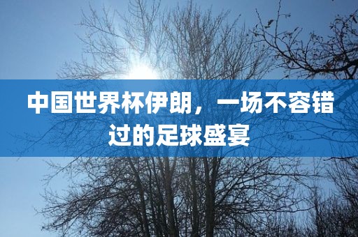 中国世界杯伊朗，一场不容错过的足球盛宴
