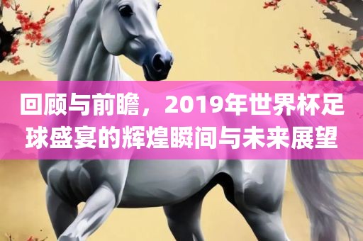 回顾与前瞻，2019年世界杯足球盛宴的辉煌瞬间与未来展望