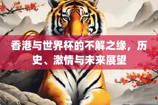 香港与世界杯的不解之缘，历史、激情与未来展望