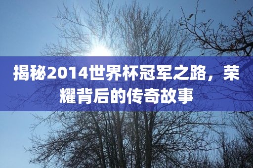 揭秘2014世界杯冠军之路，荣耀背后的传奇故事