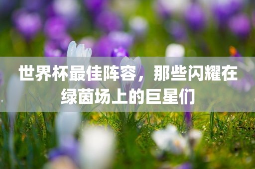世界杯最佳阵容，那些闪耀在绿茵场上的巨星们