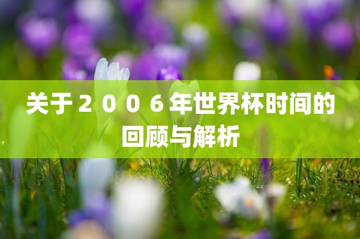 关于２００６年世界杯时间的回顾与解析