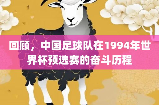 回顾，中国足球队在1994年世界杯预选赛的奋斗历程