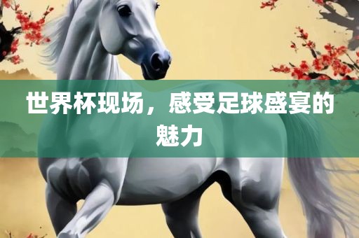 世界杯现场，感受足球盛宴的魅力