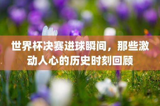世界杯决赛进球瞬间，那些激动人心的历史时刻回顾