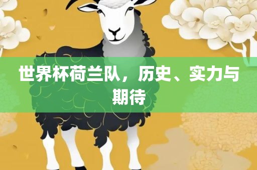 世界杯荷兰队，历史、实力与期待