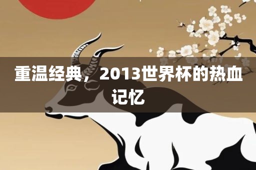 重温经典，2013世界杯的热血记忆