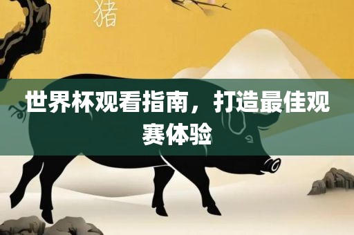 世界杯观看指南，打造最佳观赛体验