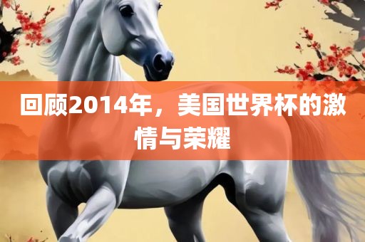 回顾2014年，美国世界杯的激情与荣耀