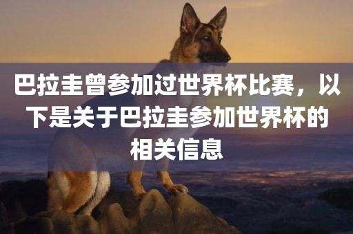 巴拉圭曾参加过世界杯比赛，以下是关于巴拉圭参加世界杯的相关信息