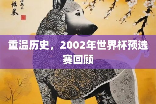 重温历史，2002年世界杯预选赛回顾