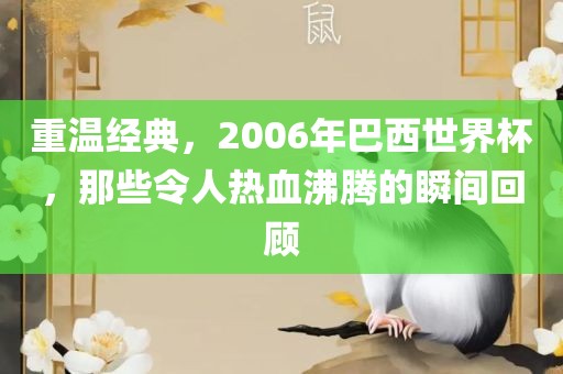 重温经典，2006年巴西世界杯，那些令人热血沸腾的瞬间回顾