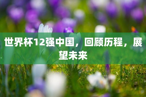 世界杯12强中国，回顾历程，展望未来
