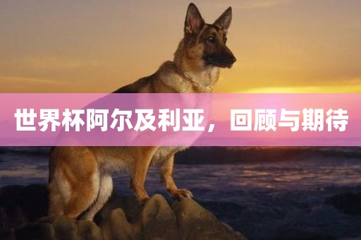 世界杯阿尔及利亚，回顾与期待