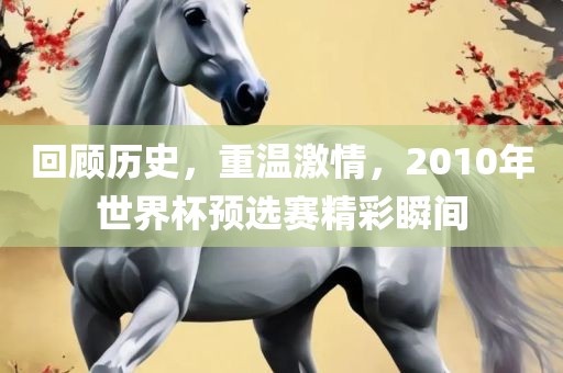 回顾历史，重温激情，2010年世界杯预选赛精彩瞬间