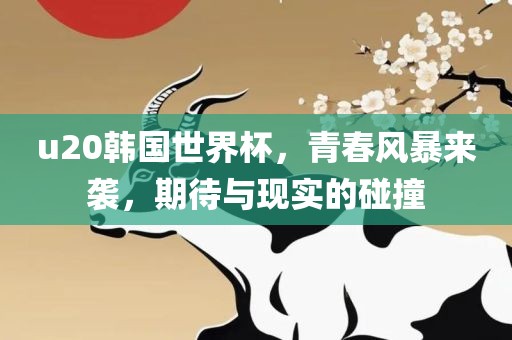 u20韩国世界杯，青春风暴来袭，期待与现实的碰撞
