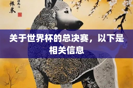关于世界杯的总决赛，以下是相关信息
