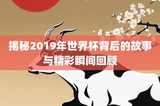 揭秘2019年世界杯背后的故事与精彩瞬间回顾