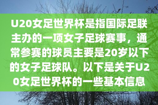 U20女足世界杯是指国际足联主办的一项女子足球赛事，通常参赛的球员主要是20岁以下的女子足球队。以下是关于U20女足世界杯的一些基本信息