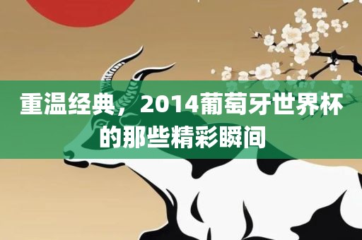 重温经典，2014葡萄牙世界杯的那些精彩瞬间