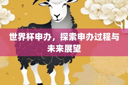世界杯申办，探索申办过程与未来展望