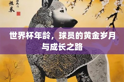 世界杯年龄，球员的黄金岁月与成长之路