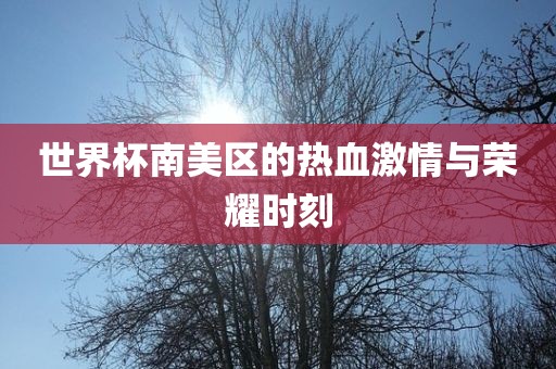 世界杯南美区的热血激情与荣耀时刻
