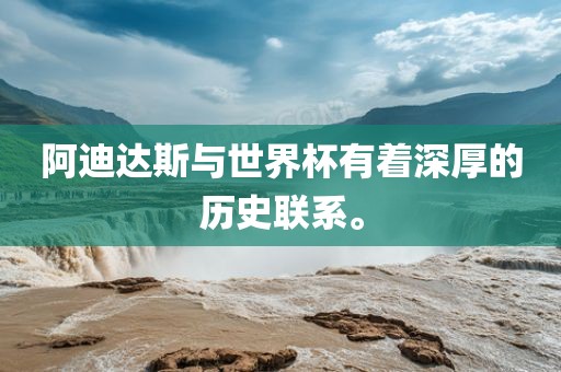 阿迪达斯与世界杯有着深厚的历史联系。