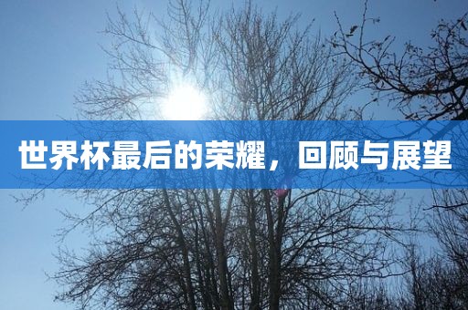 世界杯最后的荣耀，回顾与展望