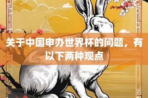 关于中国申办世界杯的问题，有以下两种观点