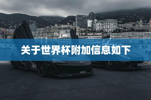 关于世界杯附加信息如下