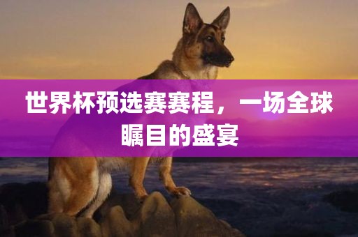 世界杯预选赛赛程，一场全球瞩目的盛宴