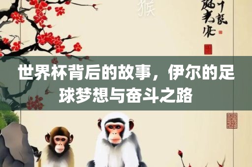 世界杯背后的故事，伊尔的足球梦想与奋斗之路