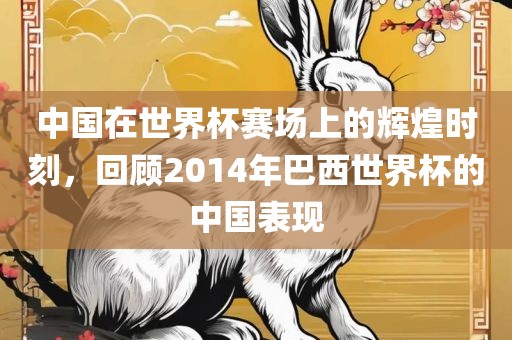 中国在世界杯赛场上的辉煌时刻，回顾2014年巴西世界杯的中国表现