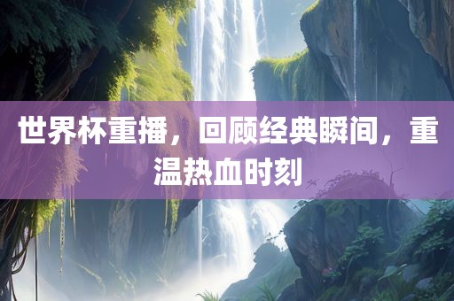 世界杯重播，回顾经典瞬间，重温热血时刻