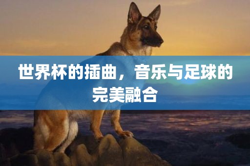 世界杯的插曲，音乐与足球的完美融合
