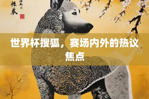 世界杯搜狐，赛场内外的热议焦点