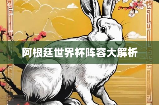 阿根廷世界杯阵容大解析