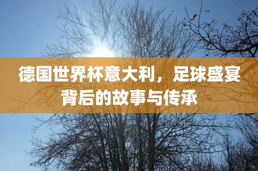 德国世界杯意大利，足球盛宴背后的故事与传承