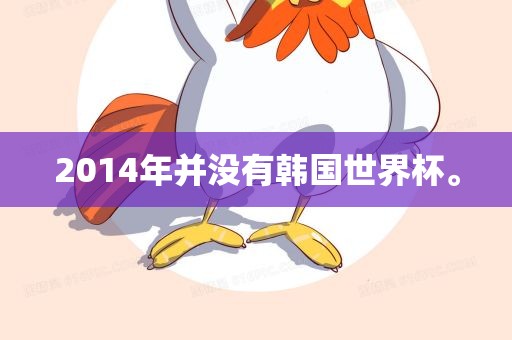 2014年并没有韩国世界杯。
