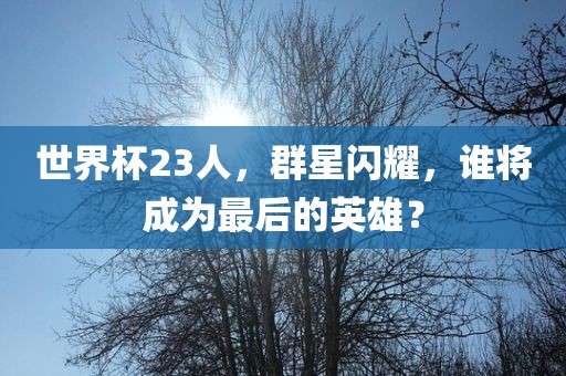 世界杯23人，群星闪耀，谁将成为最后的英雄？