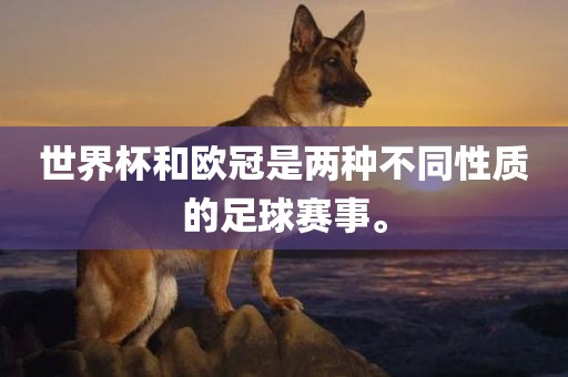 世界杯和欧冠是两种不同性质的足球赛事。