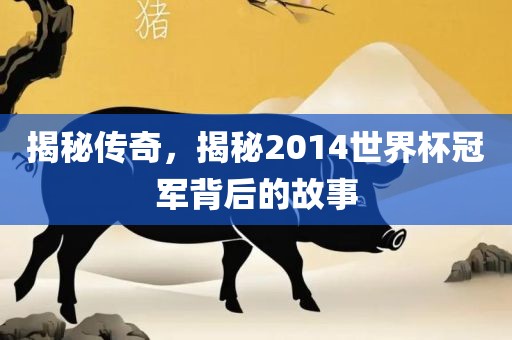 揭秘传奇，揭秘2014世界杯冠军背后的故事