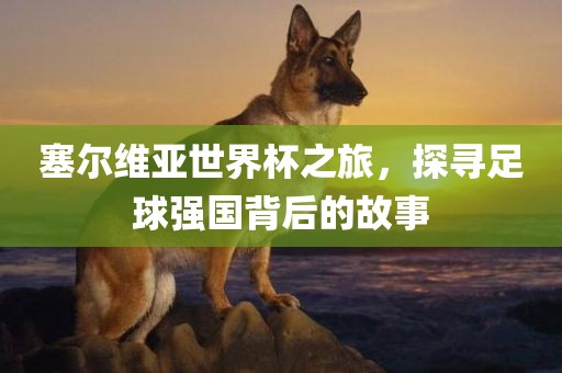 塞尔维亚世界杯之旅，探寻足球强国背后的故事