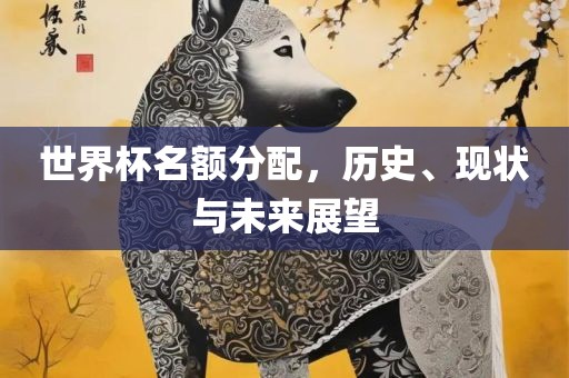 世界杯名额分配，历史、现状与未来展望