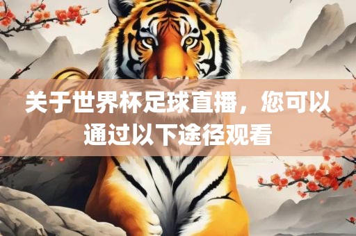 关于世界杯足球直播，您可以通过以下途径观看