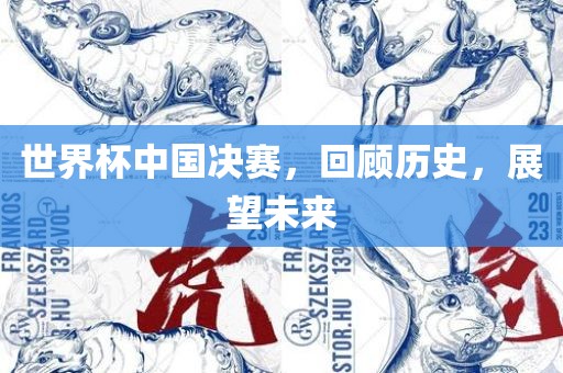 世界杯中国决赛，回顾历史，展望未来