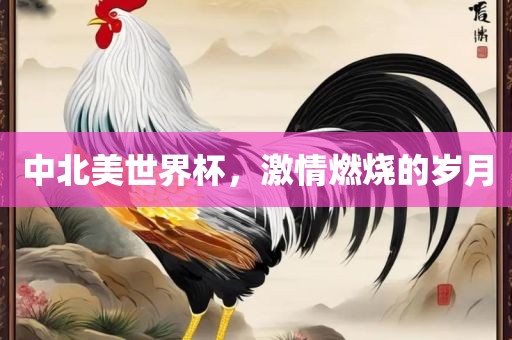 中北美世界杯，激情燃烧的岁月