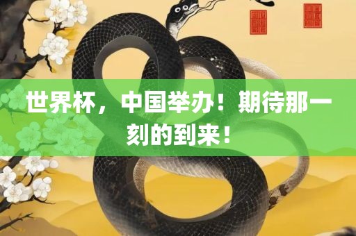 世界杯，中国举办！期待那一刻的到来！